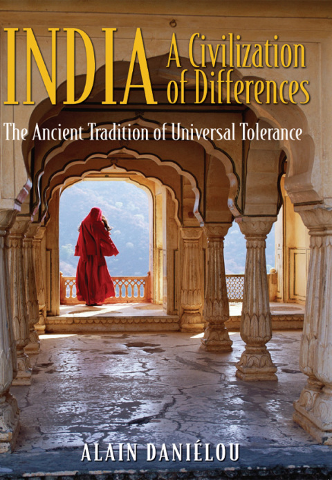 Cover image for book India: A Civilization of Differences