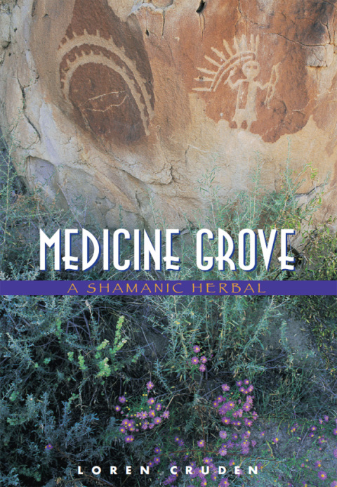 Cover image for book Medicine Grove