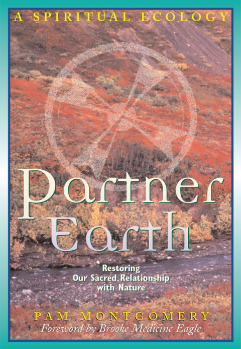 Cover image for book Partner Earth