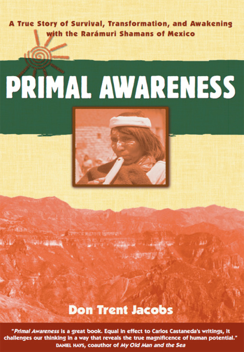 Cover image for book Primal Awareness