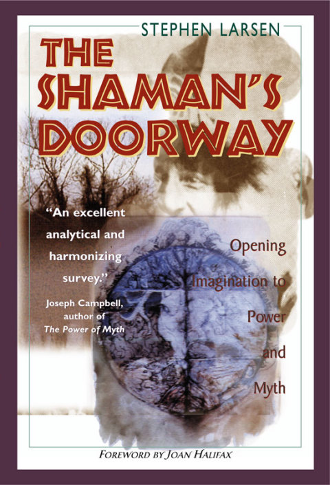 Cover image for book The Shaman's Doorway