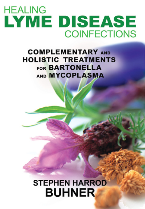 Cover image for book Healing Lyme Disease Coinfections