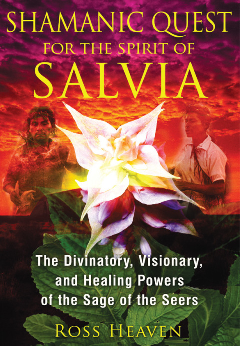 Cover image for book Shamanic Quest for the Spirit of Salvia