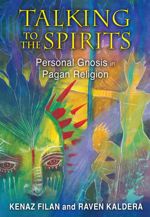 Cover image for book Talking to the Spirits
