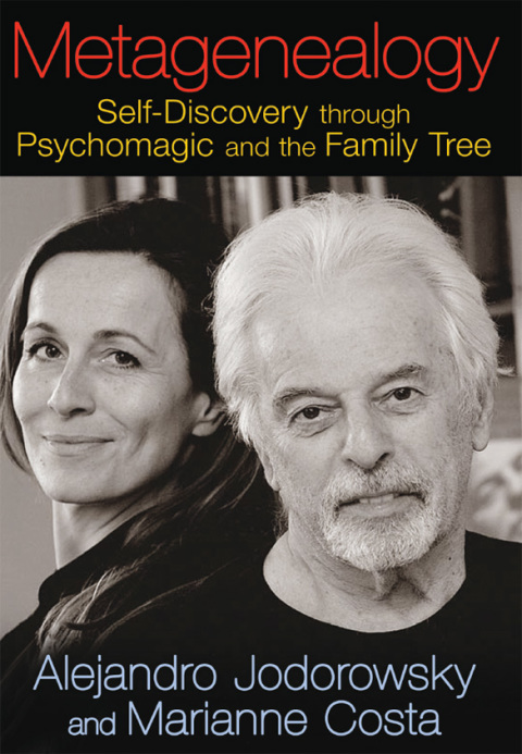 Cover image for book Metagenealogy