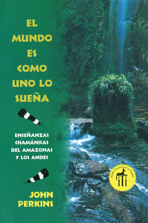 Cover image for book El mundo es como uno lo sueña