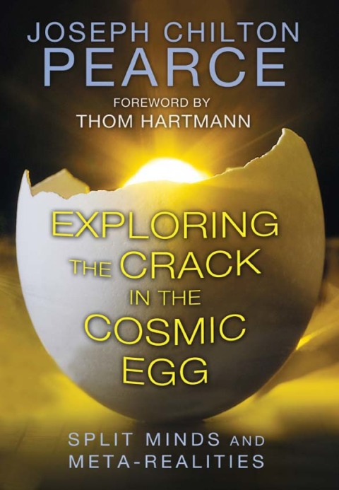 Cover image for book Exploring the Crack in the Cosmic Egg