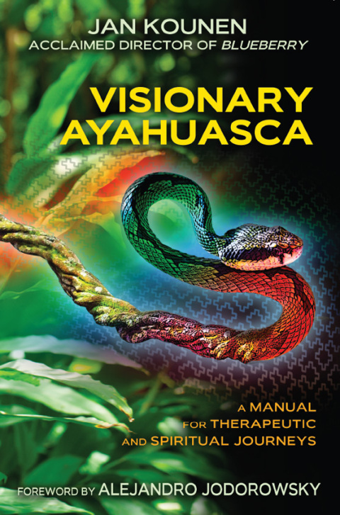 Cover image for book Visionary Ayahuasca