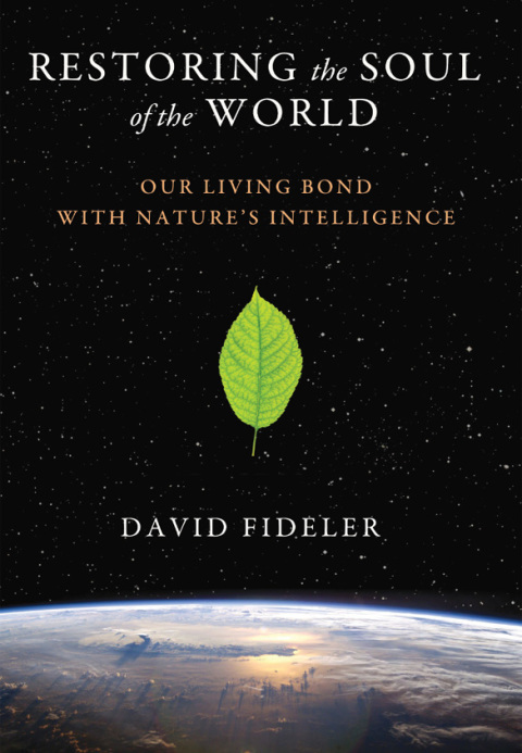 Cover image for book Restoring the Soul of the World