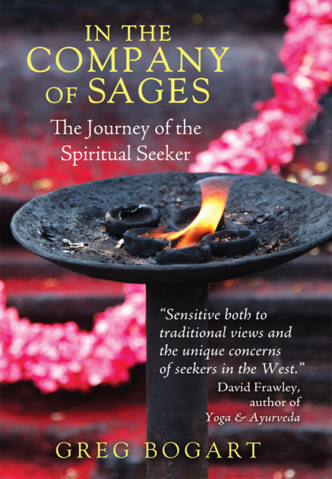 Cover image for book In the Company of Sages