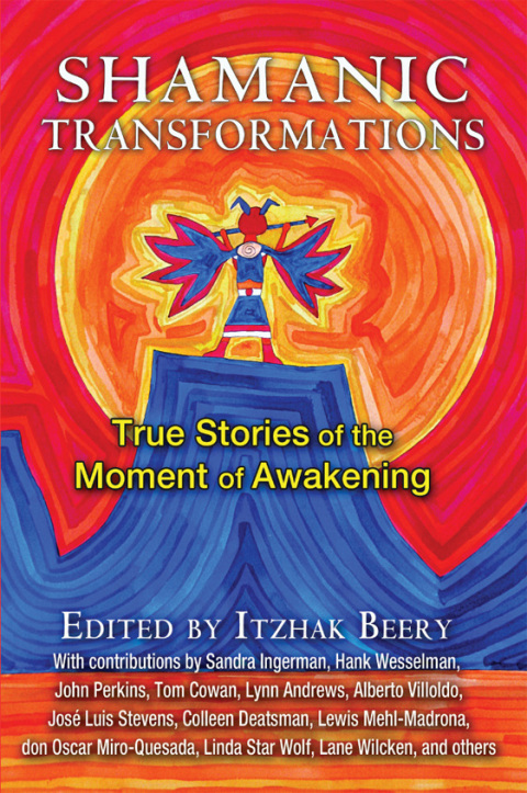 Cover image for book Shamanic Transformations