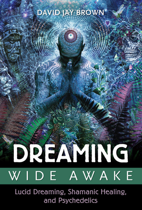 Cover image for book Dreaming Wide Awake