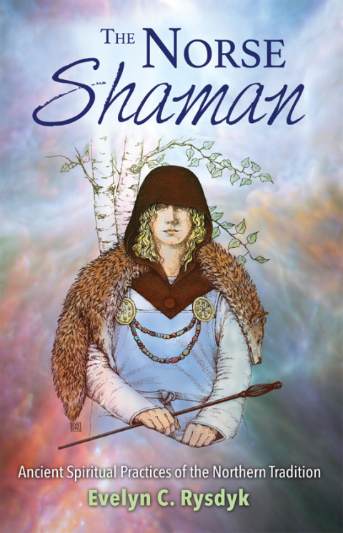Cover image for book The Norse Shaman