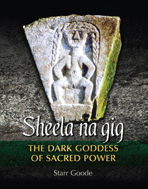 Cover image for book Sheela na gig