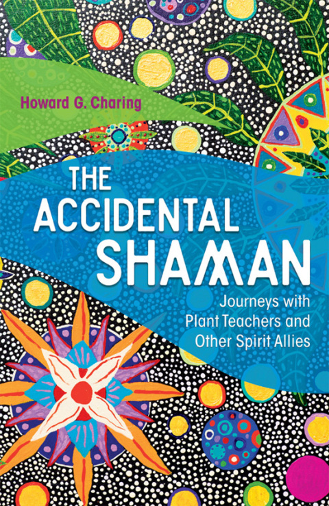 Cover image for book The Accidental Shaman
