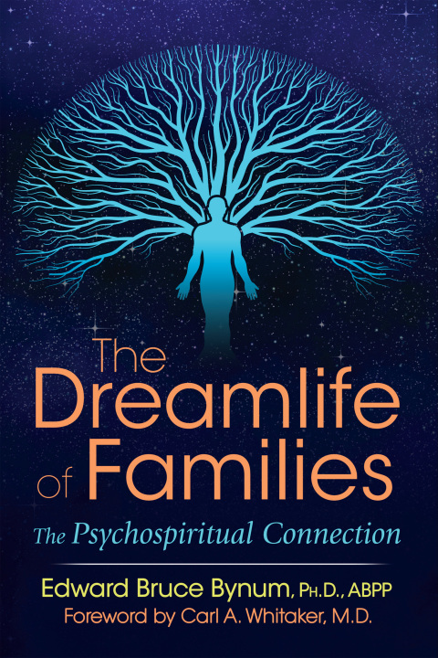 Cover image for book The Dreamlife of Families