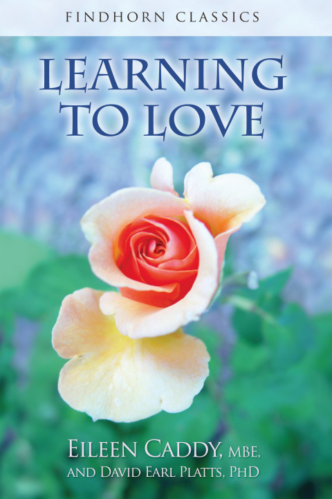 Cover image for book Learning to Love