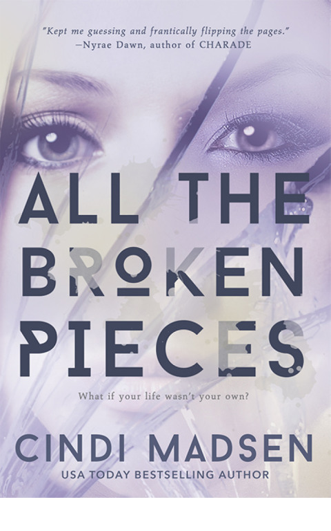 Cover image for book All the Broken Pieces