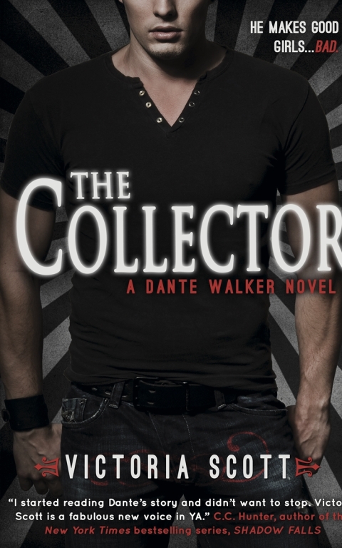 Cover image for book The Collector
