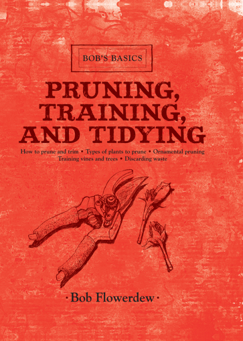 Cover image for book Pruning, Training, and Tidying