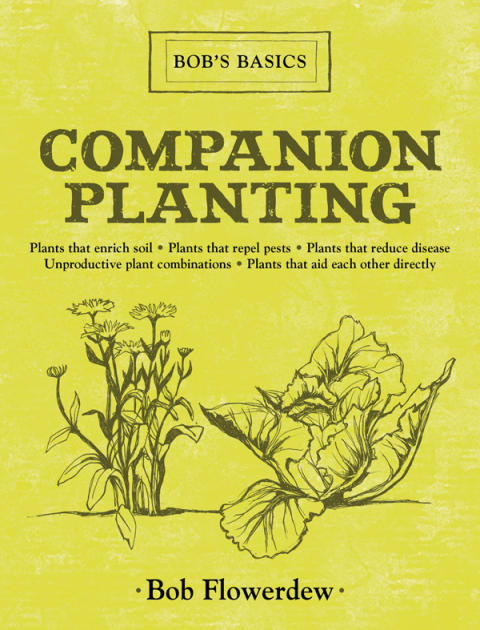 Cover image for book Companion Planting
