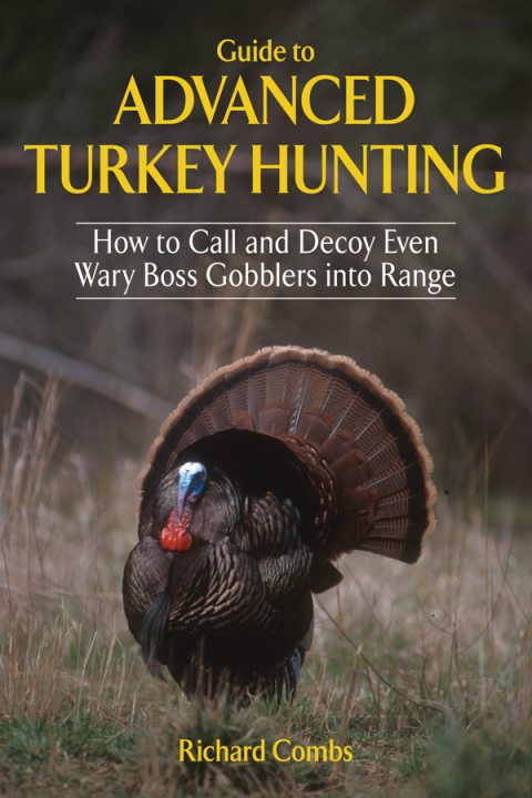 Cover image for book Guide to Advanced Turkey Hunting