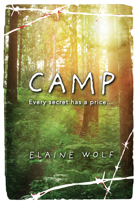 Cover image for book Camp