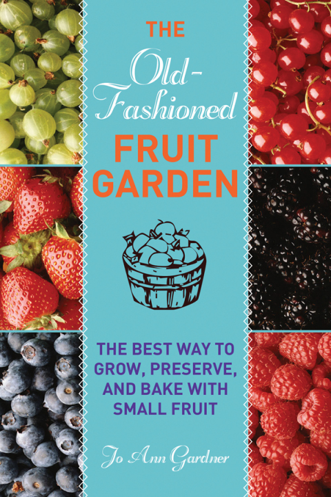 Cover image for book Old-Fashioned Fruit Garden