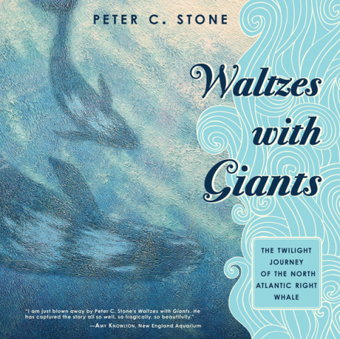 Cover image for book Waltzes with Giants