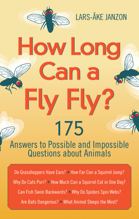 Cover image for book How Long Can a Fly Fly?