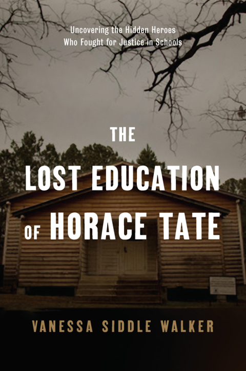 Cover image for book The Lost Education of Horace Tate