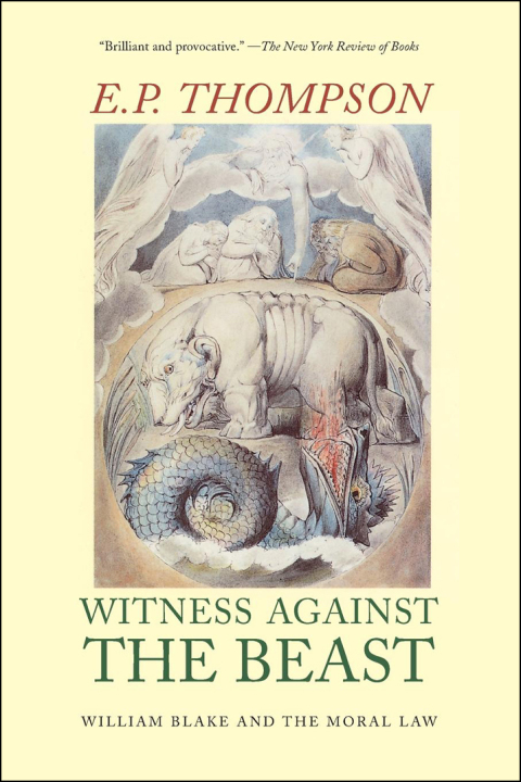 Cover image for book Witness Against the Beast