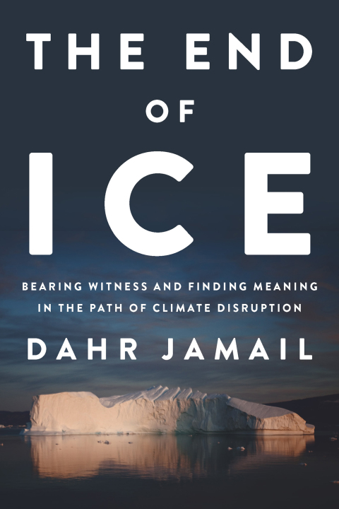 Cover image for book The End of Ice