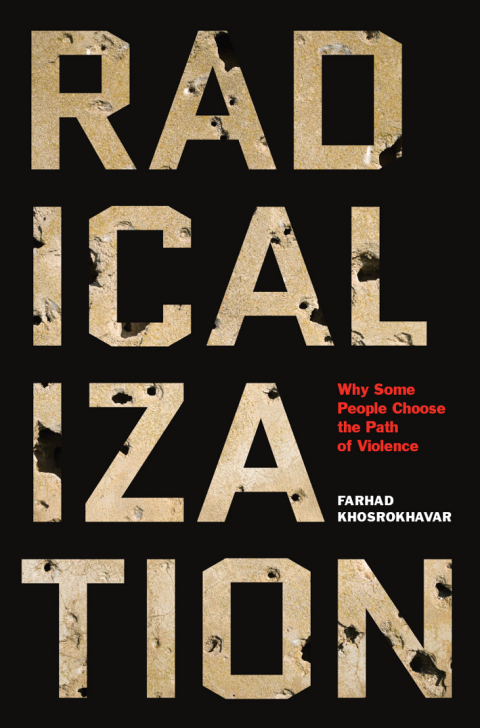 Cover image for book Radicalization