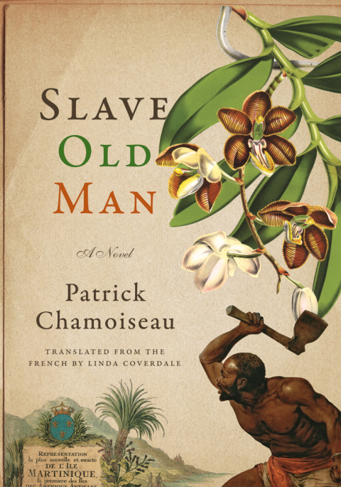 Cover image for book Slave Old Man