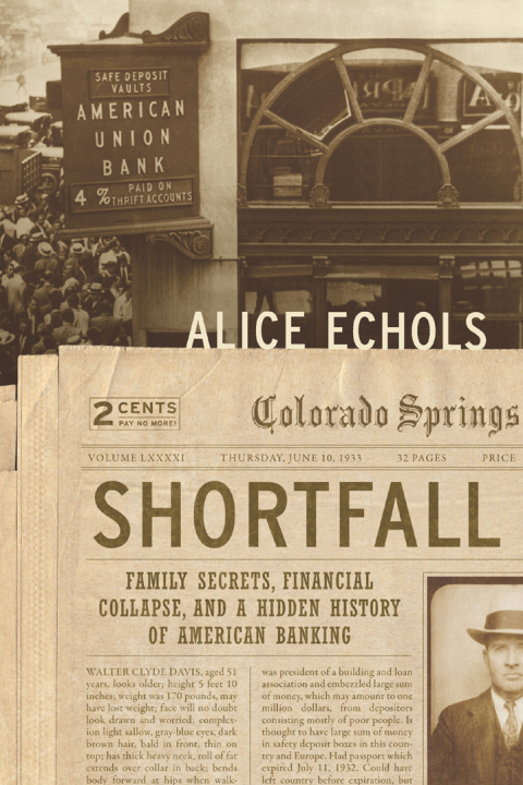Cover image for book Shortfall