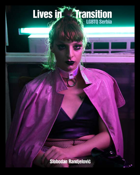 Cover image for book Lives in Transition