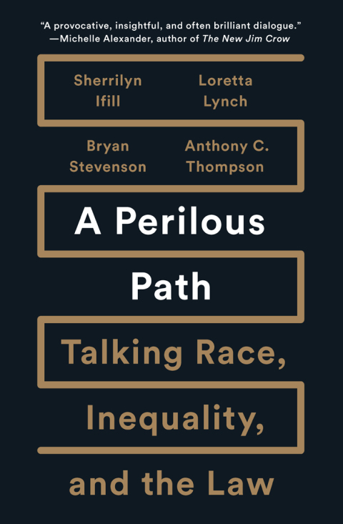 Cover image for book A Perilous Path