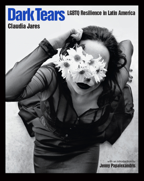 Cover image for book Dark Tears