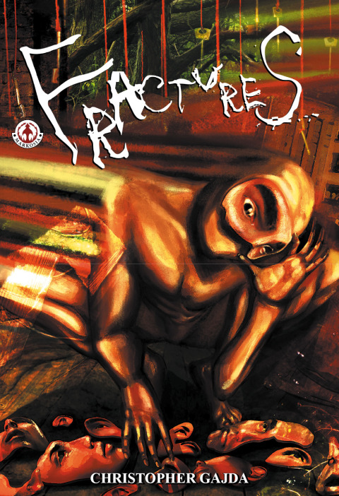 Cover image for book Fractures