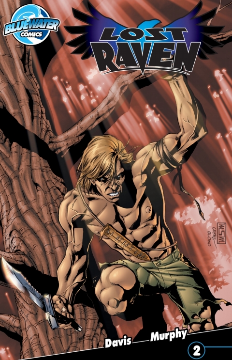 Cover image for book Lost Raven #2