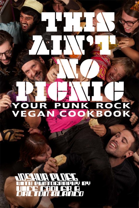 Cover image for book This Ain't No Picnic
