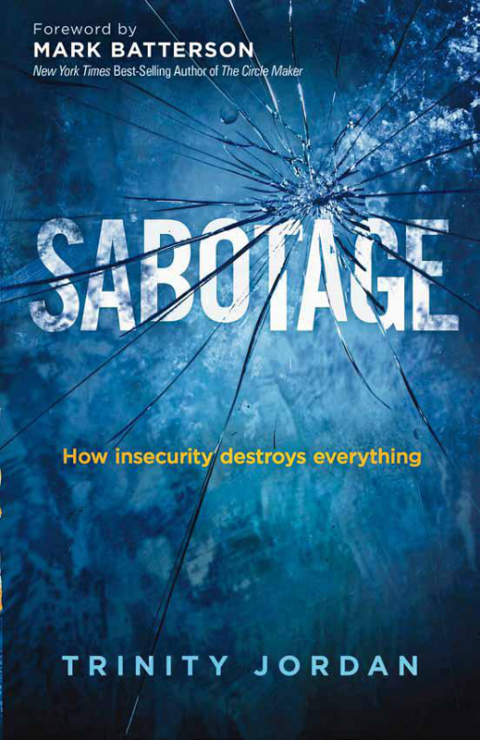 Cover image for book Sabotage