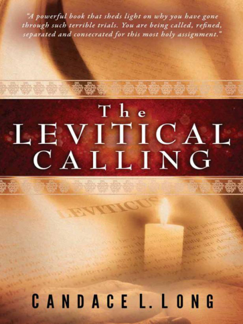 Cover image for book The Levitical Calling