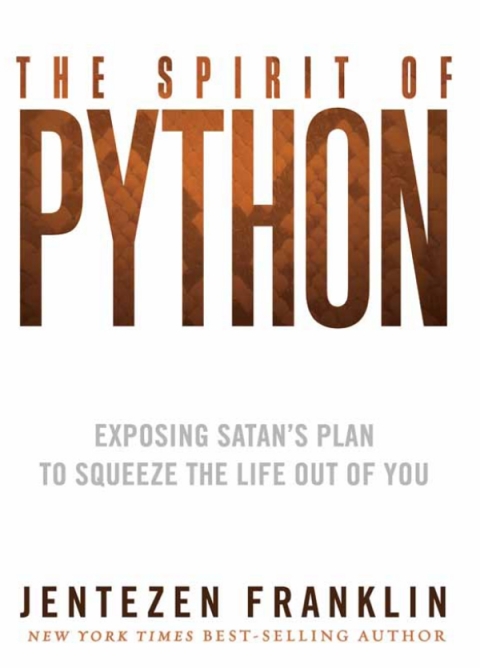 Cover image for book The Spirit of Python