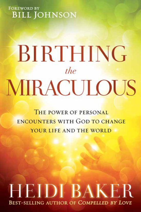 Cover image for book Birthing the Miraculous