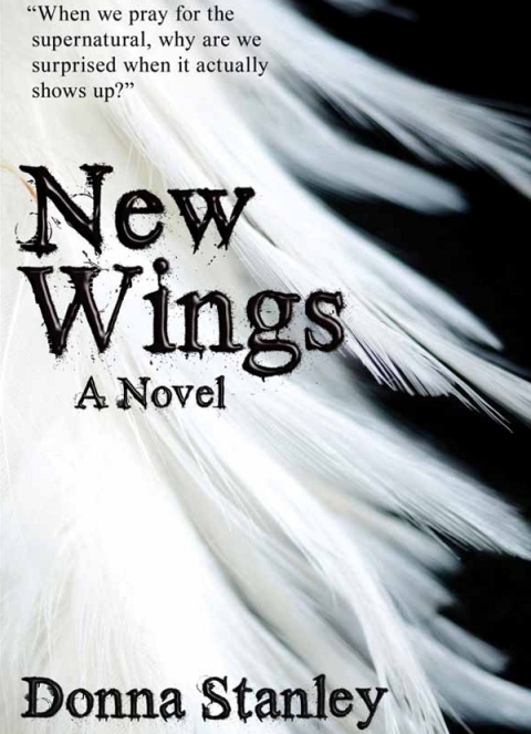 Cover image for book New Wings