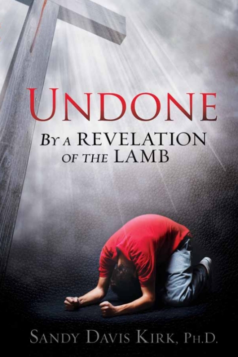Cover image for book Undone