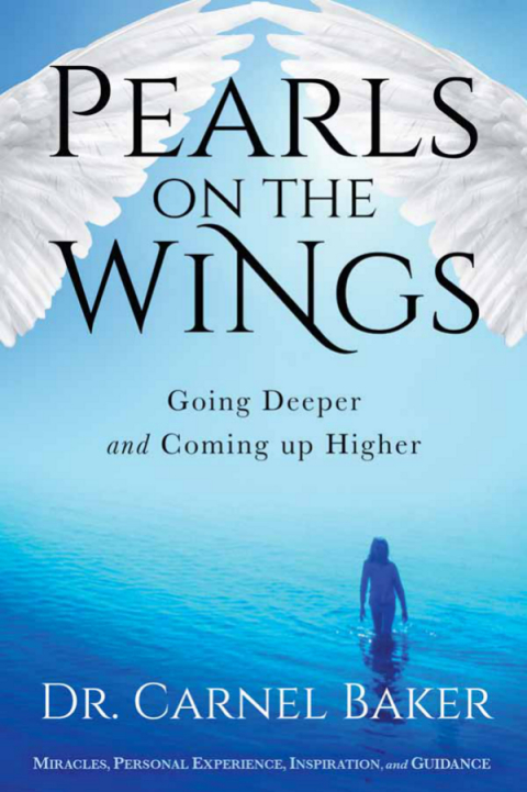 Cover image for book Pearls On the Wings
