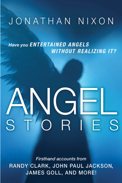 Cover image for book Angel Stories